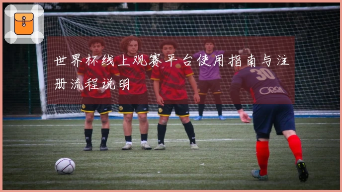 世界杯线上观赛平台使用指南与注册流程说明