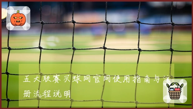 五大联赛买球网官网使用指南与注册流程说明
