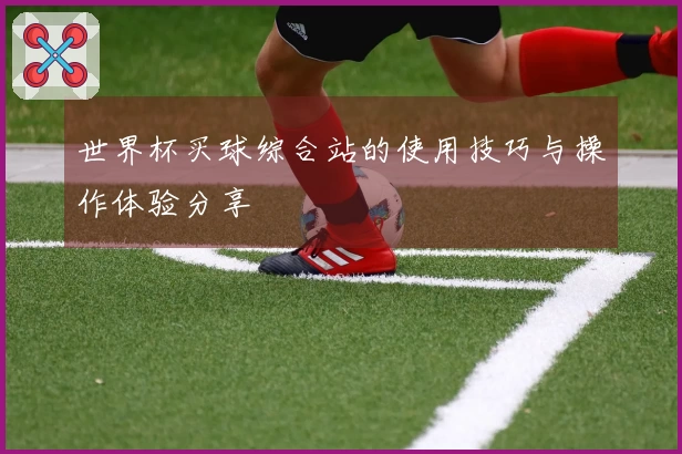 世界杯买球综合站的使用技巧与操作体验分享