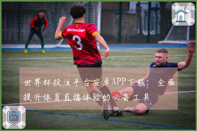 世界杯投注平台安卓APP下载：全面提升体育直播体验的必备工具