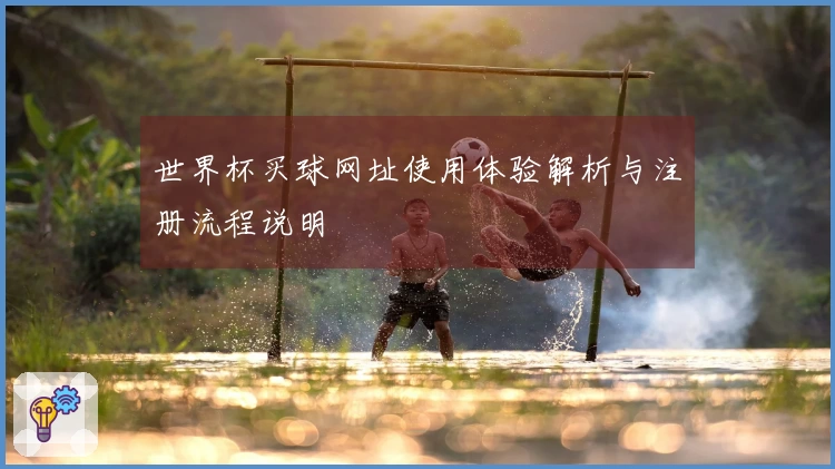 世界杯买球网址使用体验解析与注册流程说明