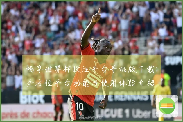 畅享世界杯投注平台手机版下载：全方位平台功能与使用体验介绍