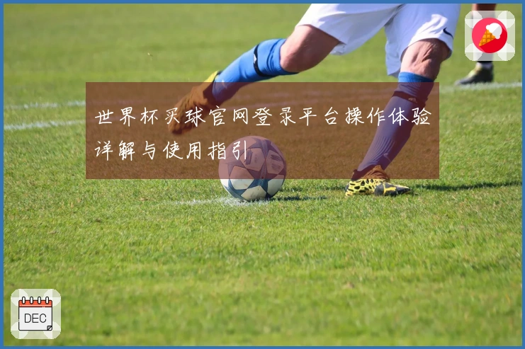 世界杯买球官网登录平台操作体验详解与使用指引