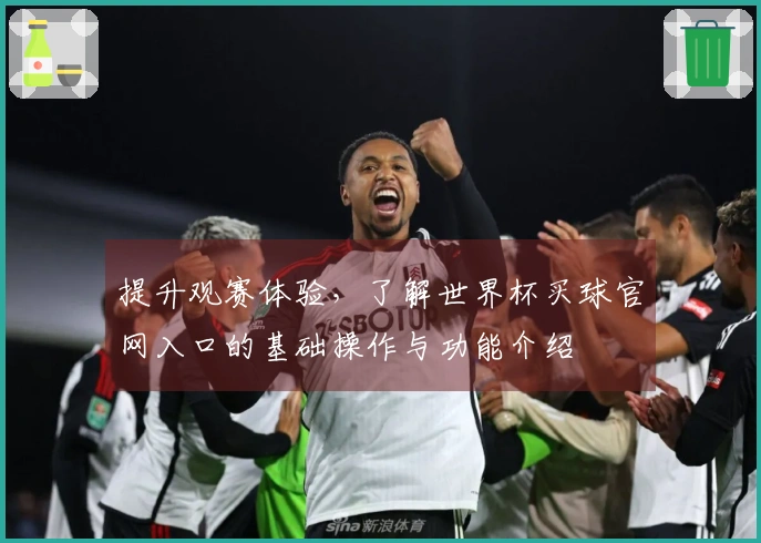 提升观赛体验，了解世界杯买球官网入口的基础操作与功能介绍