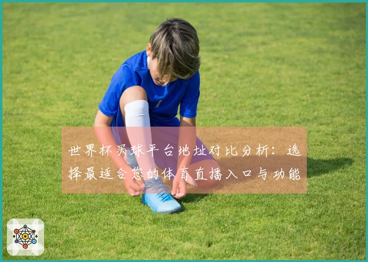 世界杯买球平台地址对比分析：选择最适合您的体育直播入口与功能介绍