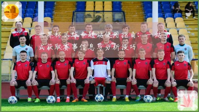 世界杯买球专题站使用指南：一站式获取赛事信息与分析技巧