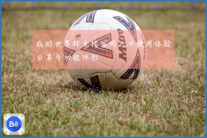 我的世界杯竞猜官网入口使用体验分享与功能评测