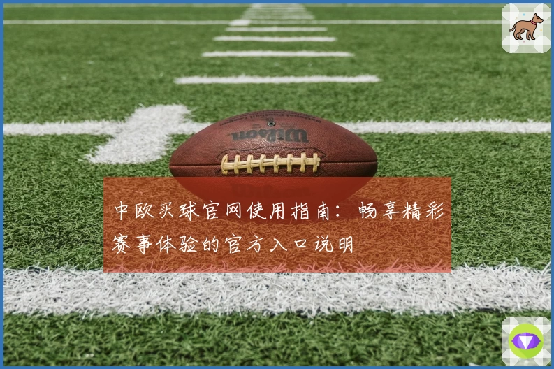 中欧买球官网使用指南：畅享精彩赛事体验的官方入口说明