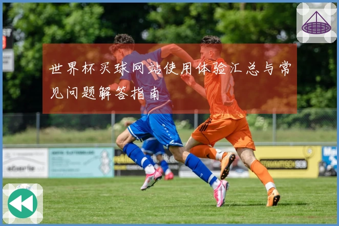 世界杯买球网站使用体验汇总与常见问题解答指南