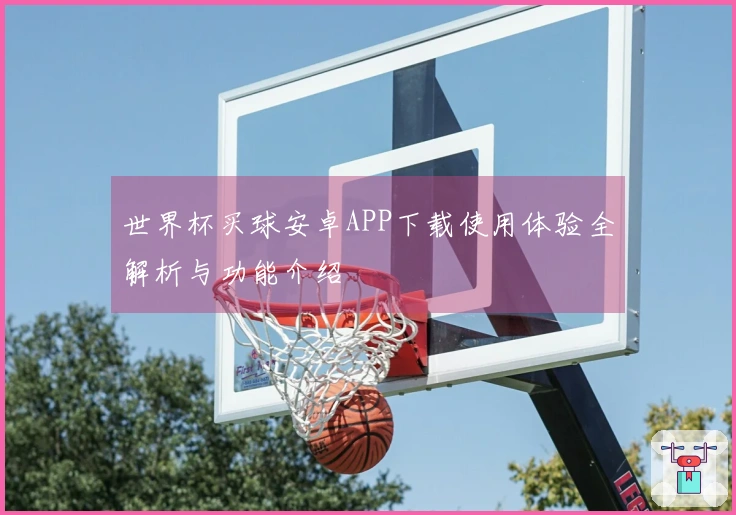 世界杯买球安卓APP下载使用体验全解析与功能介绍