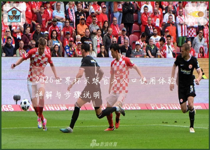 2026世界杯买球官方入口使用体验详解与步骤说明