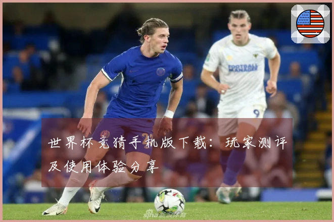 世界杯竞猜手机版下载：玩家测评及使用体验分享