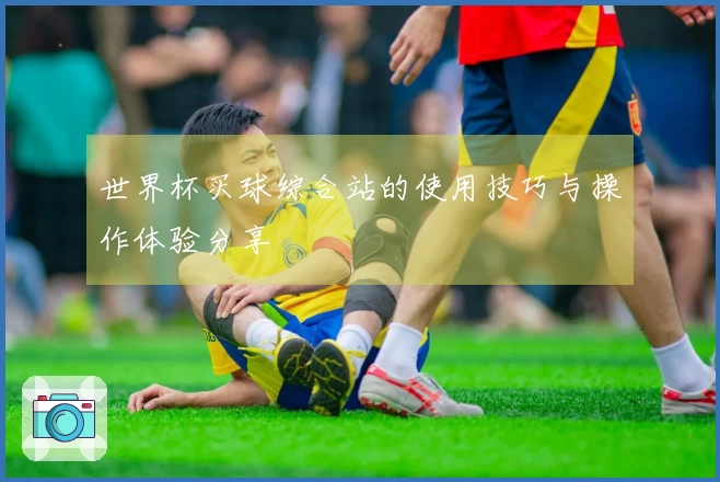 世界杯买球综合站的使用技巧与操作体验分享
