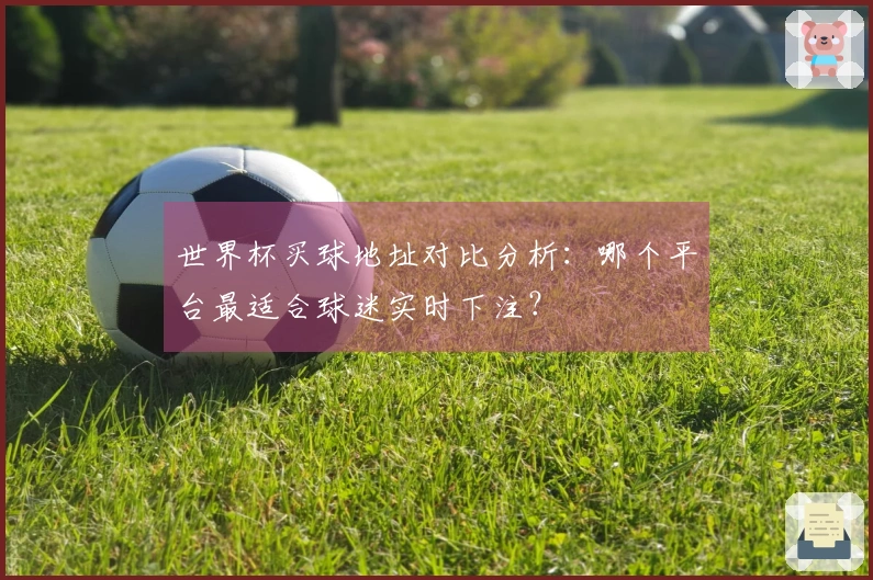 世界杯买球地址对比分析：哪个平台最适合球迷实时下注？
