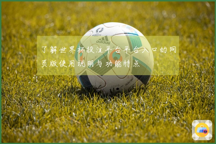 了解世界杯投注平台平台入口的网页版使用说明与功能特点